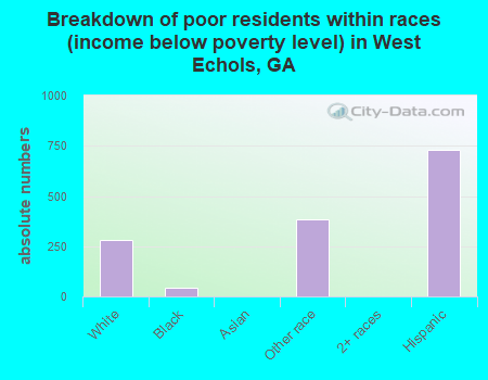 Breakdown of poor residents within races (income below poverty level) in West Echols, GA