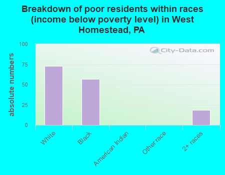 Breakdown of poor residents within races (income below poverty level) in West Homestead, PA