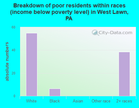 Breakdown of poor residents within races (income below poverty level) in West Lawn, PA