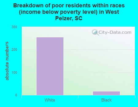 Breakdown of poor residents within races (income below poverty level) in West Pelzer, SC