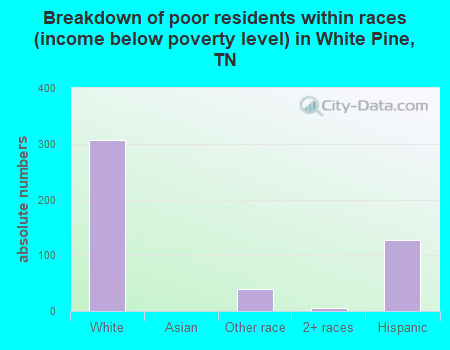 Breakdown of poor residents within races (income below poverty level) in White Pine, TN