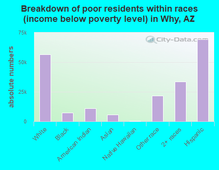 Breakdown of poor residents within races (income below poverty level) in Why, AZ