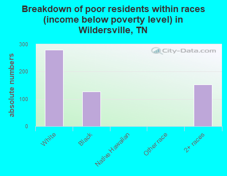 Breakdown of poor residents within races (income below poverty level) in Wildersville, TN