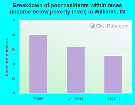 Breakdown of poor residents within races (income below poverty level) in Williams, IN
