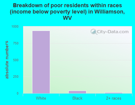 Breakdown of poor residents within races (income below poverty level) in Williamson, WV