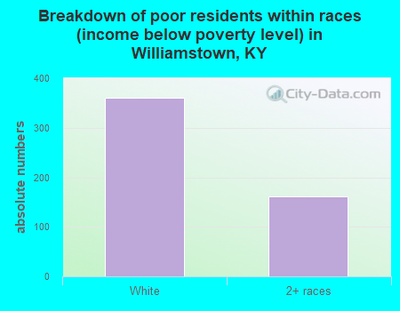 Breakdown of poor residents within races (income below poverty level) in Williamstown, KY