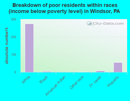 Breakdown of poor residents within races (income below poverty level) in Windsor, PA