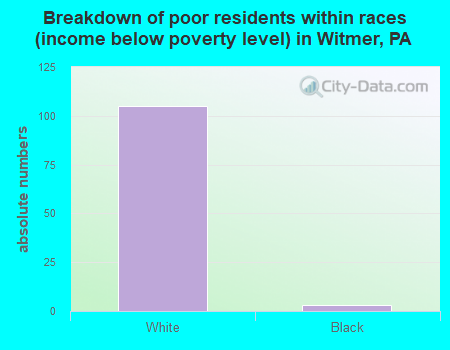 Breakdown of poor residents within races (income below poverty level) in Witmer, PA