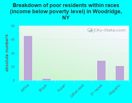 Breakdown of poor residents within races (income below poverty level) in Woodridge, NY