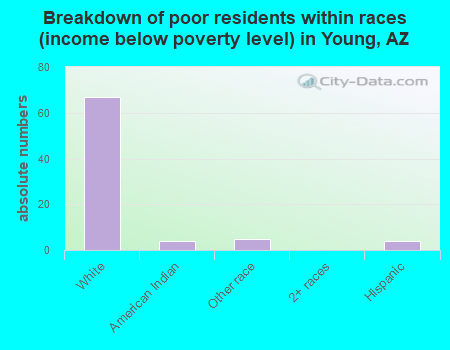 Breakdown of poor residents within races (income below poverty level) in Young, AZ