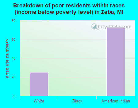 Breakdown of poor residents within races (income below poverty level) in Zeba, MI
