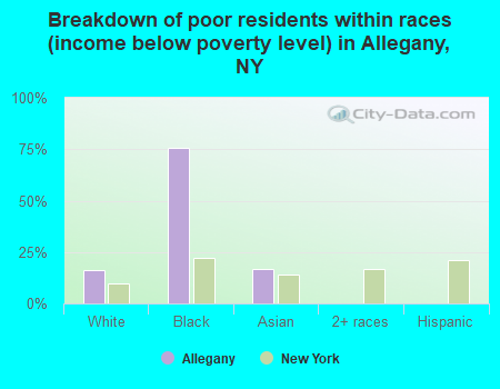 Breakdown of poor residents within races (income below poverty level) in Allegany, NY