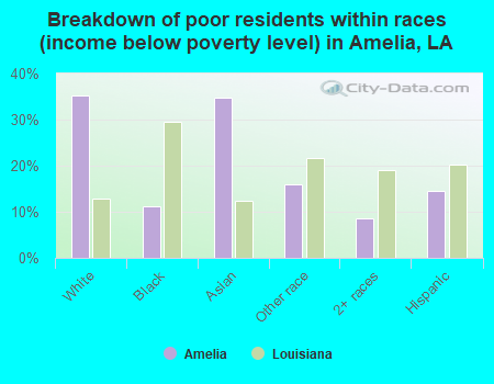 Breakdown of poor residents within races (income below poverty level) in Amelia, LA