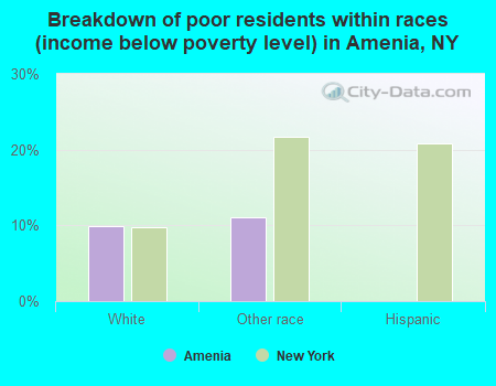 Breakdown of poor residents within races (income below poverty level) in Amenia, NY