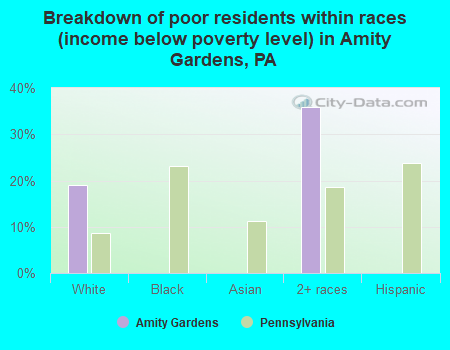 Breakdown of poor residents within races (income below poverty level) in Amity Gardens, PA