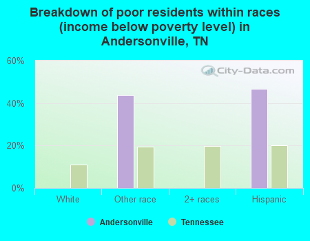 Breakdown of poor residents within races (income below poverty level) in Andersonville, TN