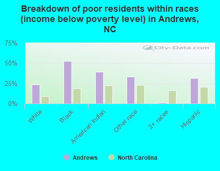 Breakdown of poor residents within races (income below poverty level) in Andrews, NC