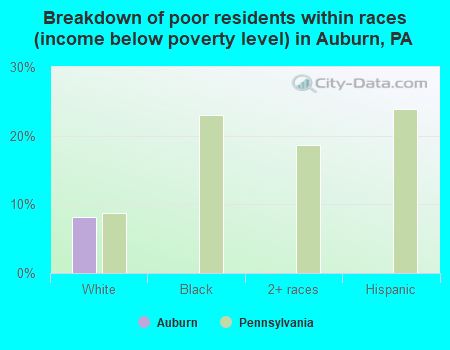 Breakdown of poor residents within races (income below poverty level) in Auburn, PA