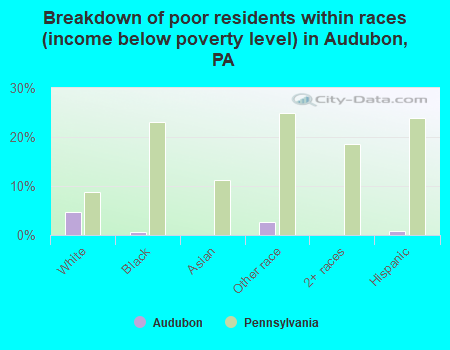 Breakdown of poor residents within races (income below poverty level) in Audubon, PA