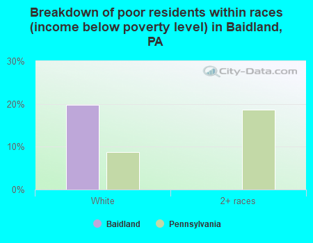 Breakdown of poor residents within races (income below poverty level) in Baidland, PA