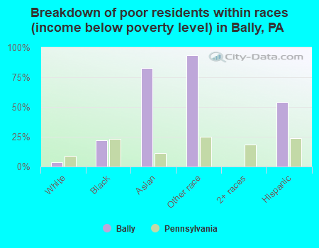 Breakdown of poor residents within races (income below poverty level) in Bally, PA
