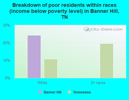 Breakdown of poor residents within races (income below poverty level) in Banner Hill, TN