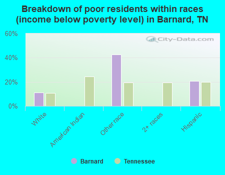 Breakdown of poor residents within races (income below poverty level) in Barnard, TN