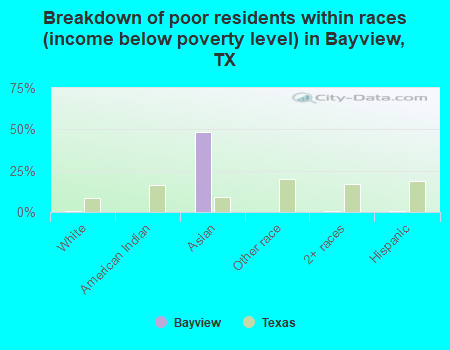 Breakdown of poor residents within races (income below poverty level) in Bayview, TX