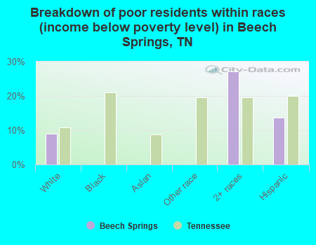 Breakdown of poor residents within races (income below poverty level) in Beech Springs, TN