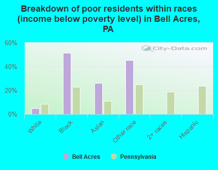 Breakdown of poor residents within races (income below poverty level) in Bell Acres, PA
