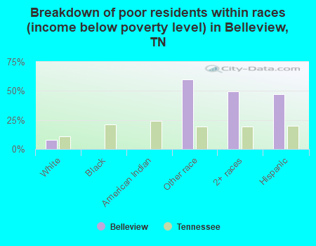 Breakdown of poor residents within races (income below poverty level) in Belleview, TN