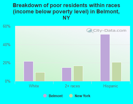 Breakdown of poor residents within races (income below poverty level) in Belmont, NY