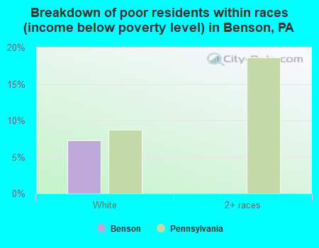Breakdown of poor residents within races (income below poverty level) in Benson, PA