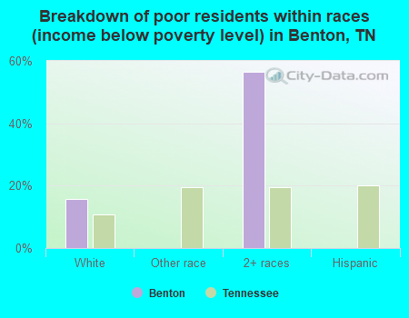 Breakdown of poor residents within races (income below poverty level) in Benton, TN