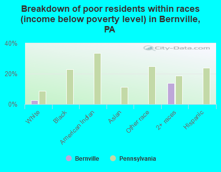 Breakdown of poor residents within races (income below poverty level) in Bernville, PA