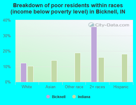 Breakdown of poor residents within races (income below poverty level) in Bicknell, IN