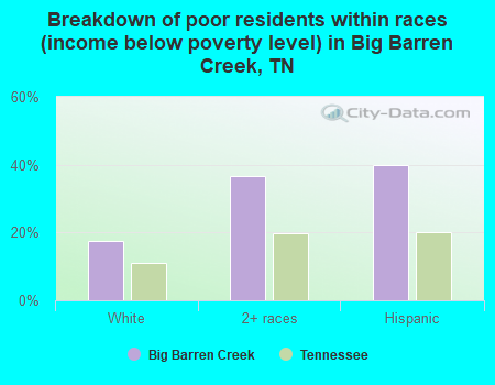 Breakdown of poor residents within races (income below poverty level) in Big Barren Creek, TN