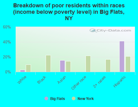 Breakdown of poor residents within races (income below poverty level) in Big Flats, NY