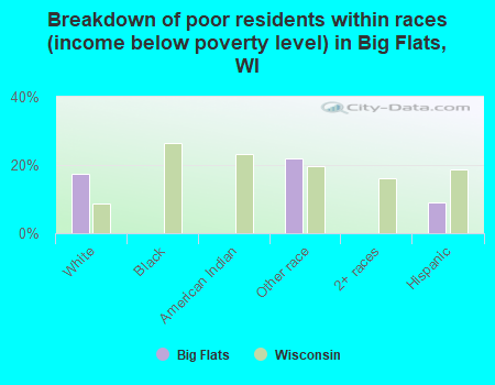 Breakdown of poor residents within races (income below poverty level) in Big Flats, WI
