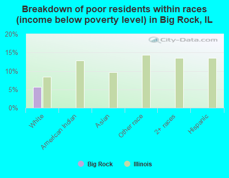 Breakdown of poor residents within races (income below poverty level) in Big Rock, IL