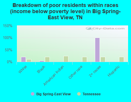 Breakdown of poor residents within races (income below poverty level) in Big Spring-East View, TN