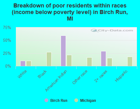 Breakdown of poor residents within races (income below poverty level) in Birch Run, MI