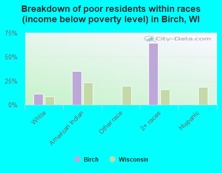 Breakdown of poor residents within races (income below poverty level) in Birch, WI