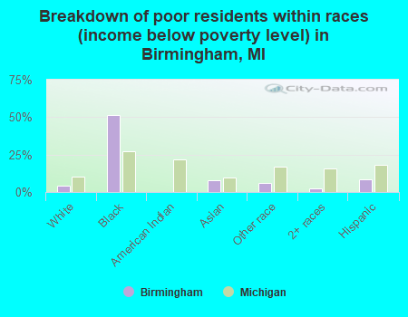 Breakdown of poor residents within races (income below poverty level) in Birmingham, MI