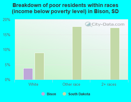 Breakdown of poor residents within races (income below poverty level) in Bison, SD