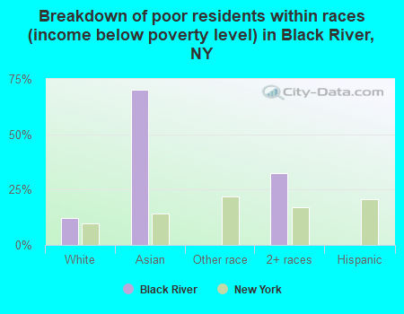 Breakdown of poor residents within races (income below poverty level) in Black River, NY