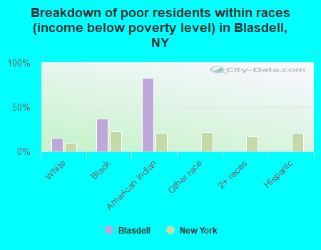 Breakdown of poor residents within races (income below poverty level) in Blasdell, NY