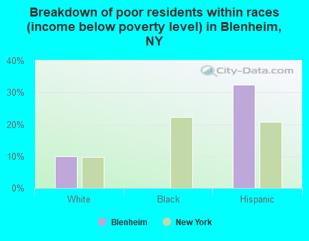 Breakdown of poor residents within races (income below poverty level) in Blenheim, NY