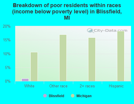 Breakdown of poor residents within races (income below poverty level) in Blissfield, MI