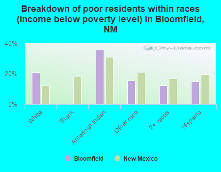 Breakdown of poor residents within races (income below poverty level) in Bloomfield, NM
